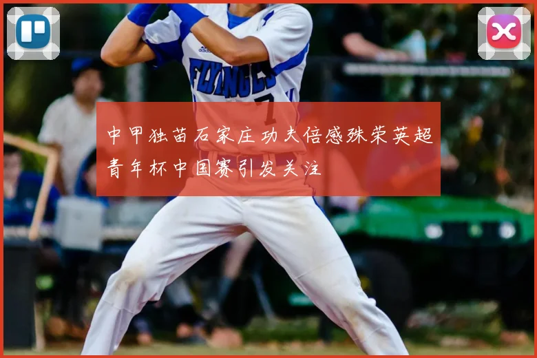 中甲独苗石家庄功夫倍感殊荣英超青年杯中国赛引发关注